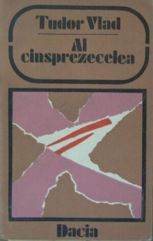 Al cinsprezecelea (Tudor Vlad) colectia Debut '81