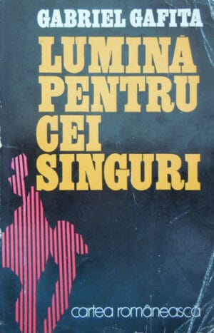 Lumina pentru cei singuri - roman (Gabriel Gafita)