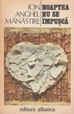 Noaptea nu se impusca (Ion Anghel Manastire)