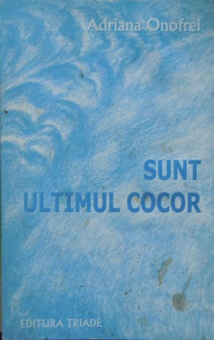 Sunt ultimul cocor (versuri)