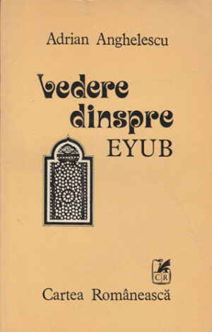Vedere dinspre EYUB (Adrian Anghelescu)