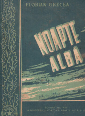 Noapte alba (Florian Grecea)