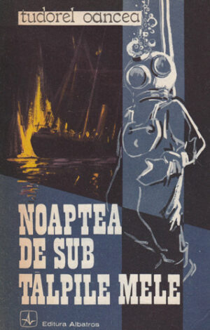 Noaptea de sub talpile mele (Tudorel Oancea)