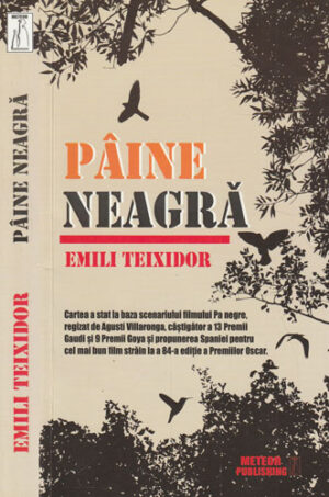 Paine neagra (Emili Teixidor)