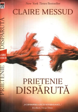 Prietenie disparuta (Claire Messud)
