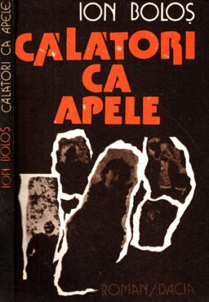 Calatori ca apele (Ion Bolos)