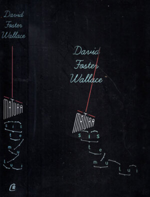 Matura sistemului (David Foster Wallace) colectia Byblos