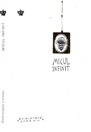 Micul infinit (Dominique Loreau)
