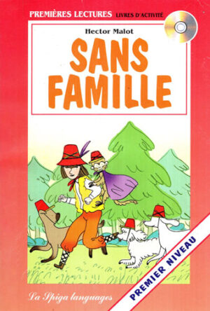Sans famille (Hector Malot) livres d' activite