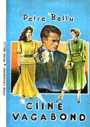 Caine vagabond (Petre Bellu)