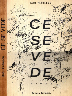 Ce se vede - roman (Radu Petrescu)