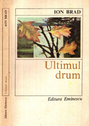 Ultimul drum (Ion Brad)