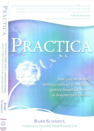 Practica - instrumente simple pentru combatarea stresului (Barb Schmidt)