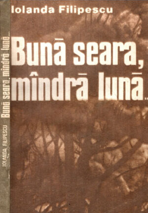 Buna seara, mandra luna (Iolanda Filipescu)