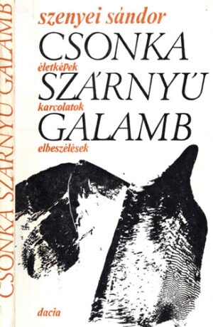 Csonka szarnyu galamb (Szenyei Sandor)