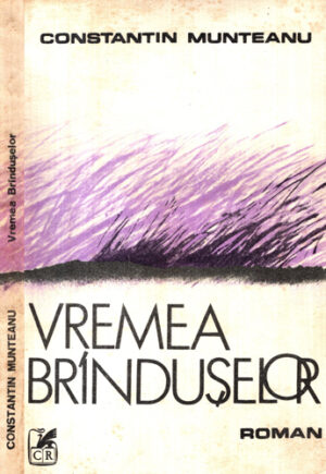 Vremea branduselor (Constantin Munteanu)
