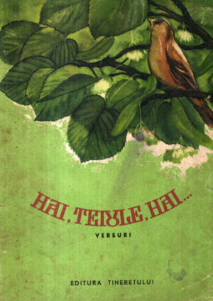 Hai, teiule, hai - versuri (Teofil Dumbraveanu)