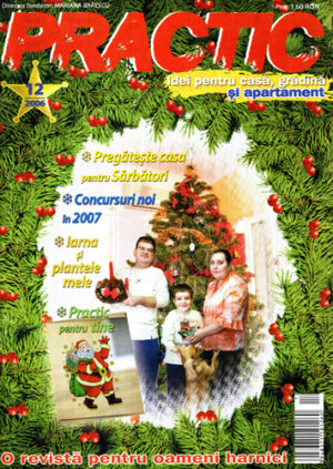 Practic - idei pentru casa, gradina si apartament nr. 12 / 2006 (Cristina Bunea)